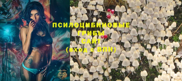 шишки Киренск