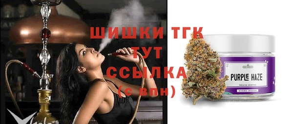 шишки Киренск