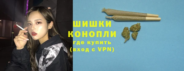шишки Киренск