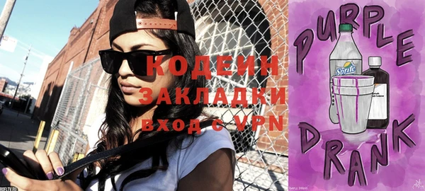 шишки Киренск