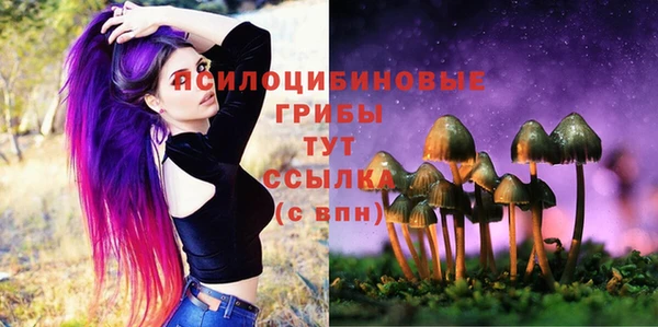 шишки Киренск