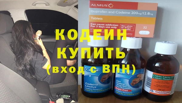 шишки Киренск