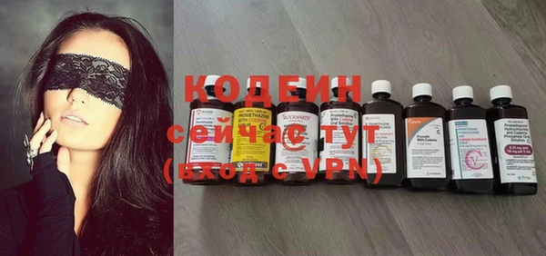 шишки Киренск