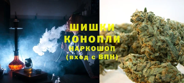 шишки Киренск