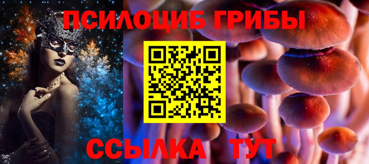 Галлюциногенные грибы ЛСД  Псилоцибиновые грибы Cubensis  Лесной 
