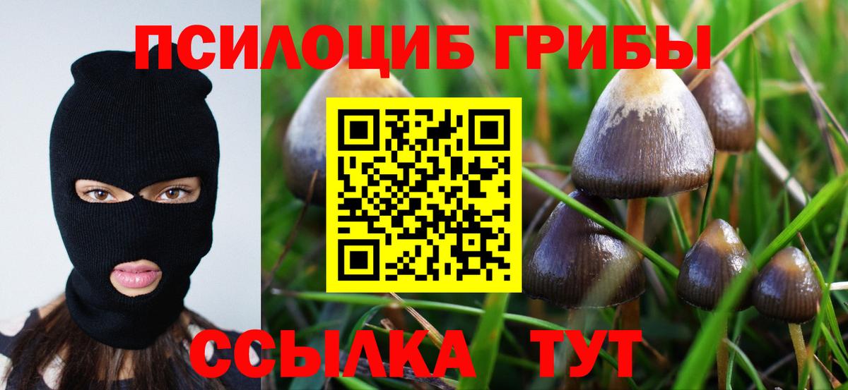 Лесной  где купить наркотик  Вход с VPN  Псилоцибиновые грибы прущие грибы 