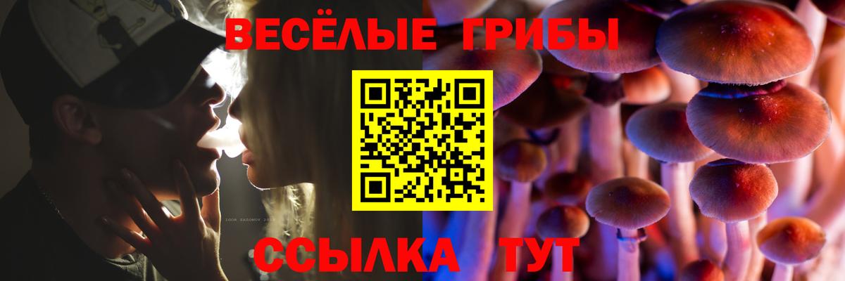 ГАШИШ Лесной